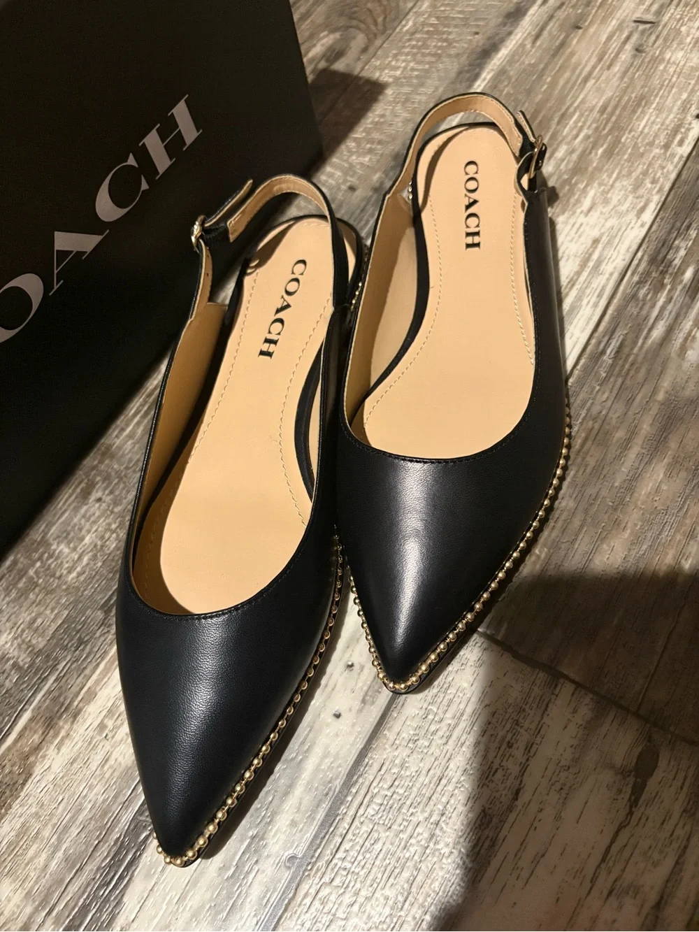 Coach Vae Skimmer Slingback Flat Sandals with Pointed Toe